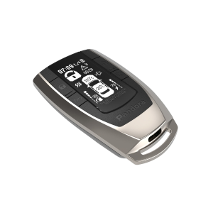 Pandora additional remote LCD D062
